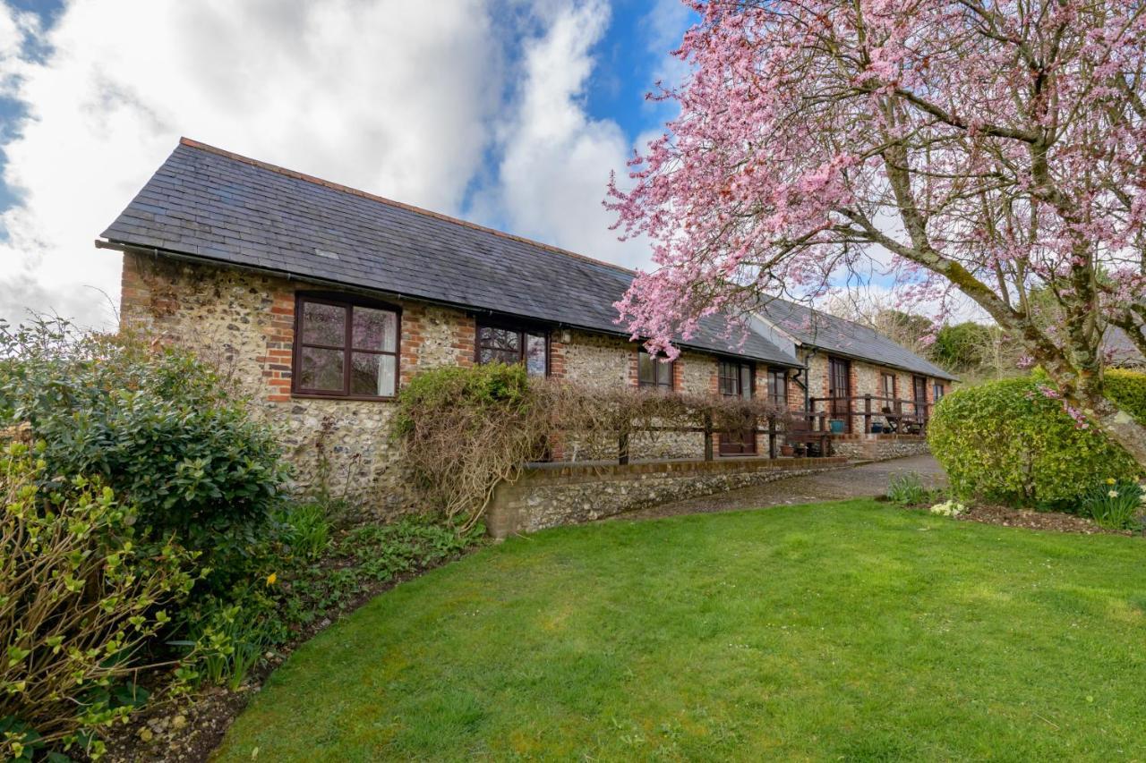 Milton Abbas Luccombe Farm Holiday Cottages מראה חיצוני תמונה