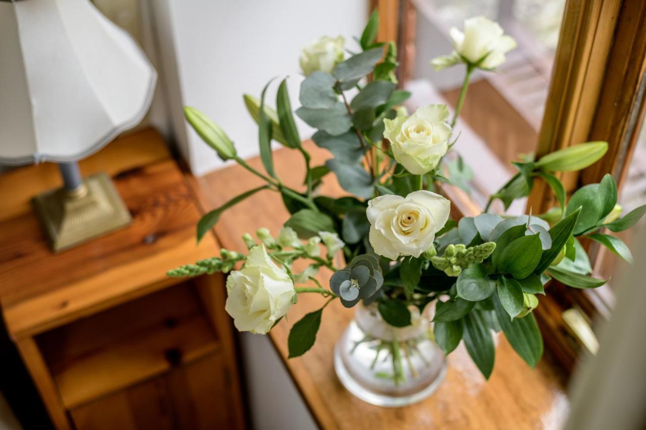 Milton Abbas Luccombe Farm Holiday Cottages מראה חיצוני תמונה