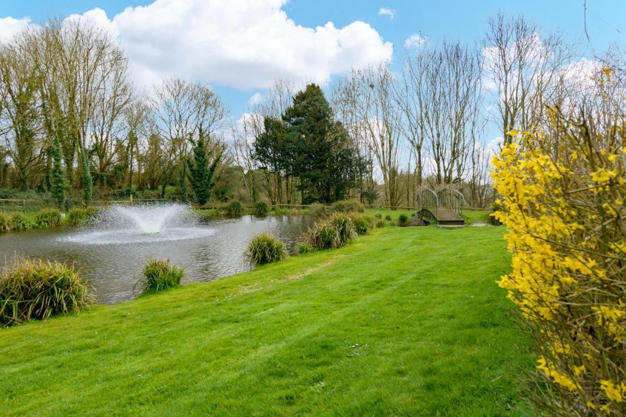 Milton Abbas Luccombe Farm Holiday Cottages מראה חיצוני תמונה