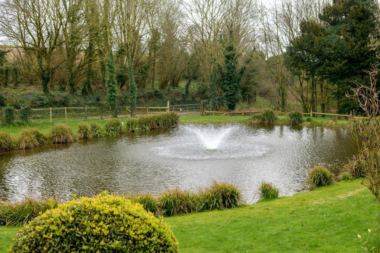 Milton Abbas Luccombe Farm Holiday Cottages מראה חיצוני תמונה