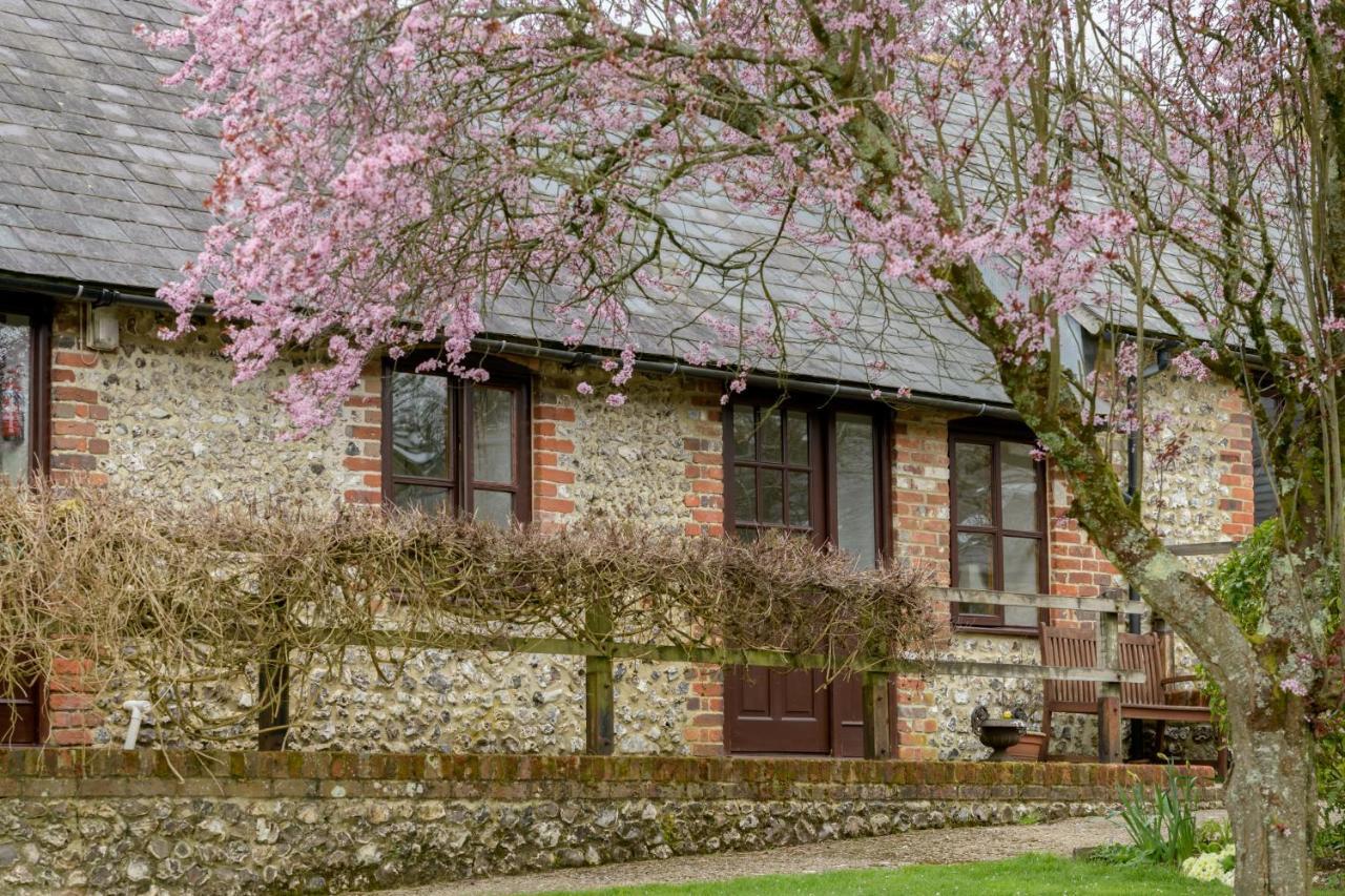 Milton Abbas Luccombe Farm Holiday Cottages מראה חיצוני תמונה