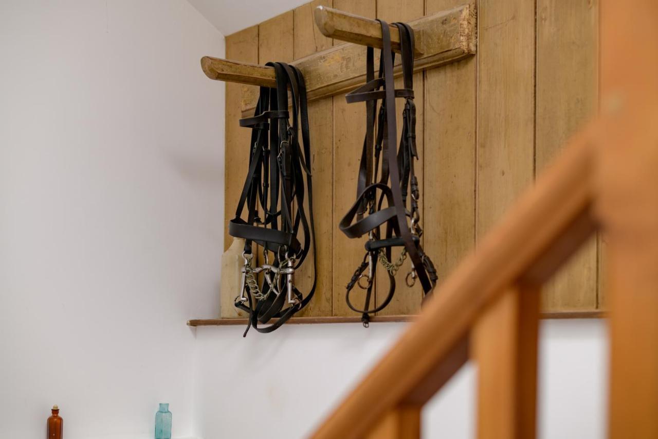 Milton Abbas Luccombe Farm Holiday Cottages מראה חיצוני תמונה