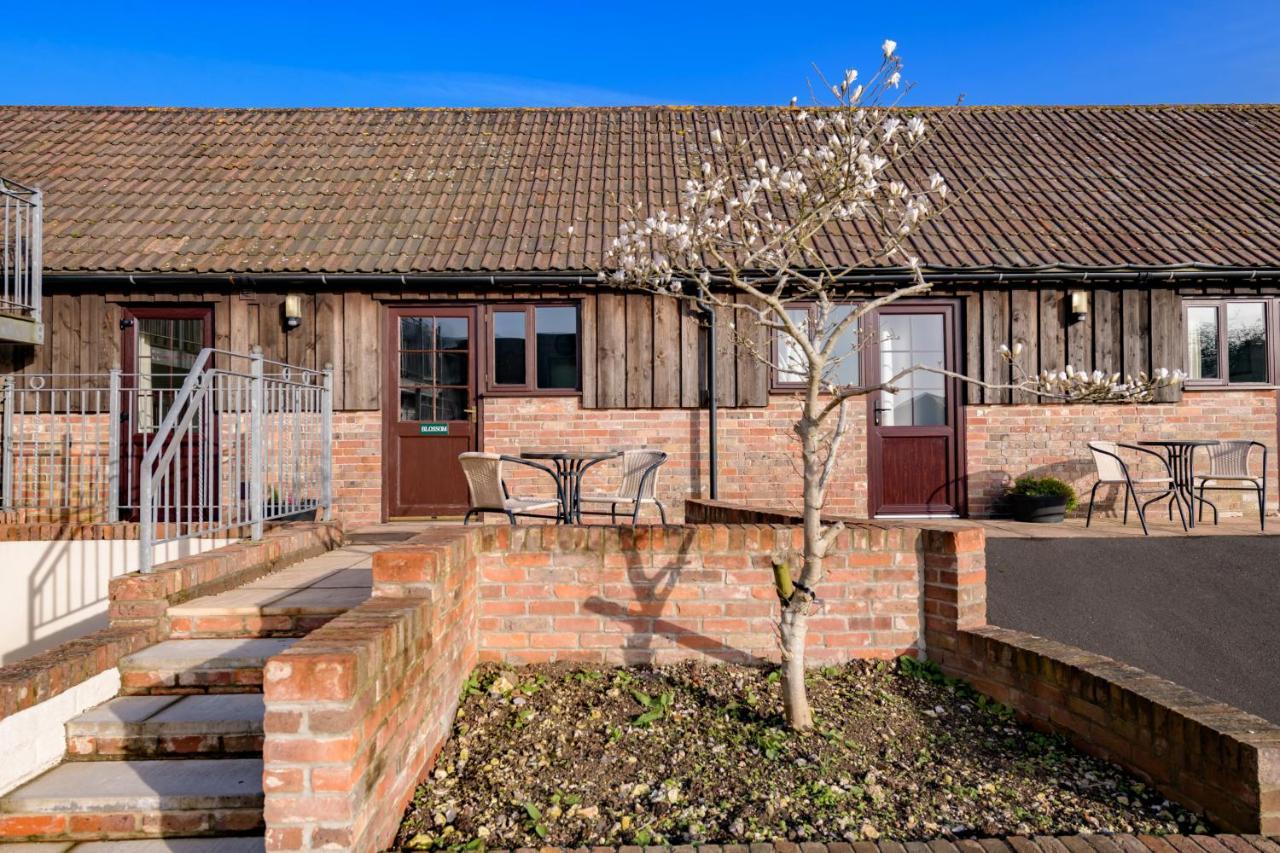 Milton Abbas Luccombe Farm Holiday Cottages מראה חיצוני תמונה