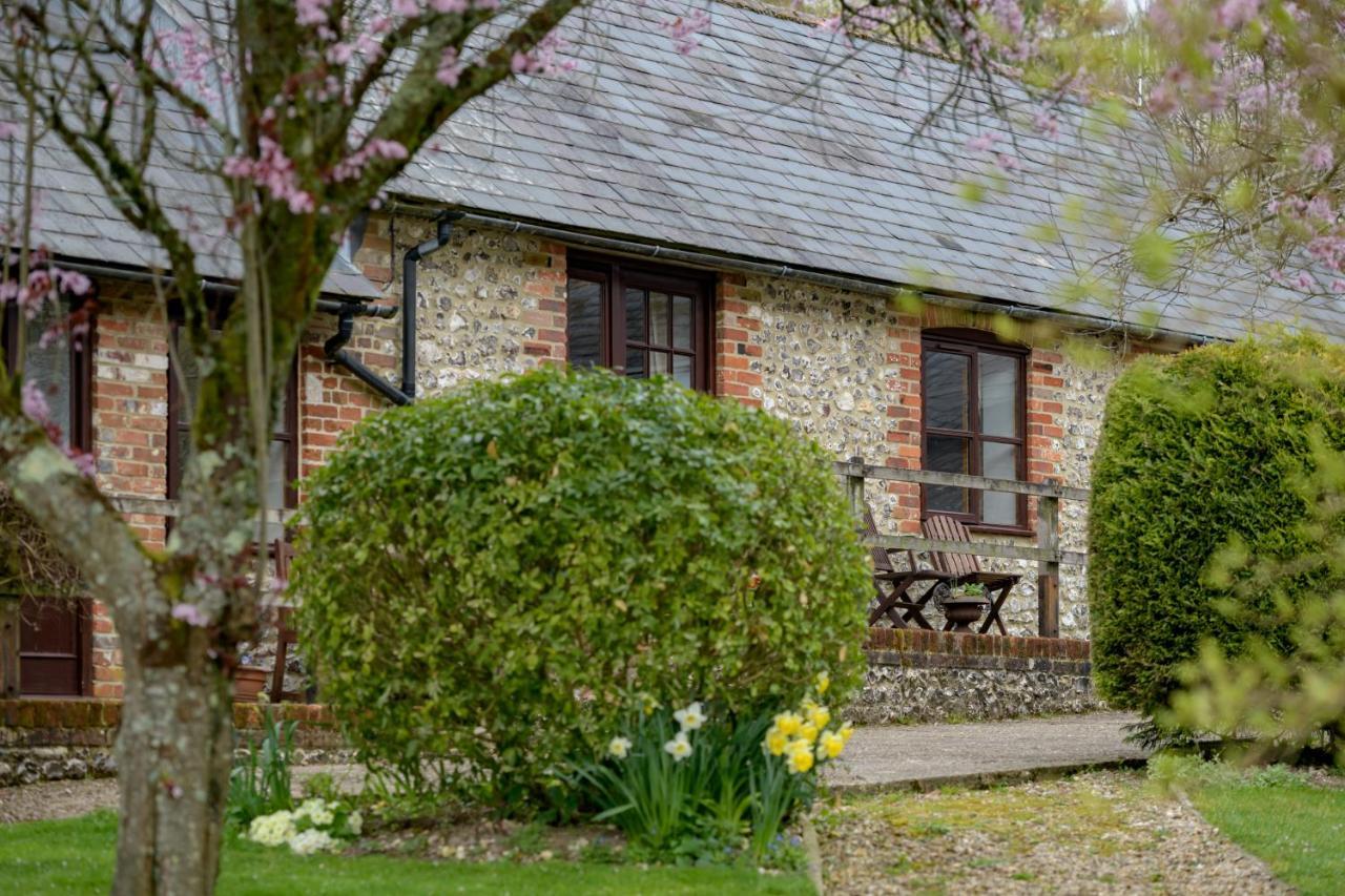 Milton Abbas Luccombe Farm Holiday Cottages מראה חיצוני תמונה