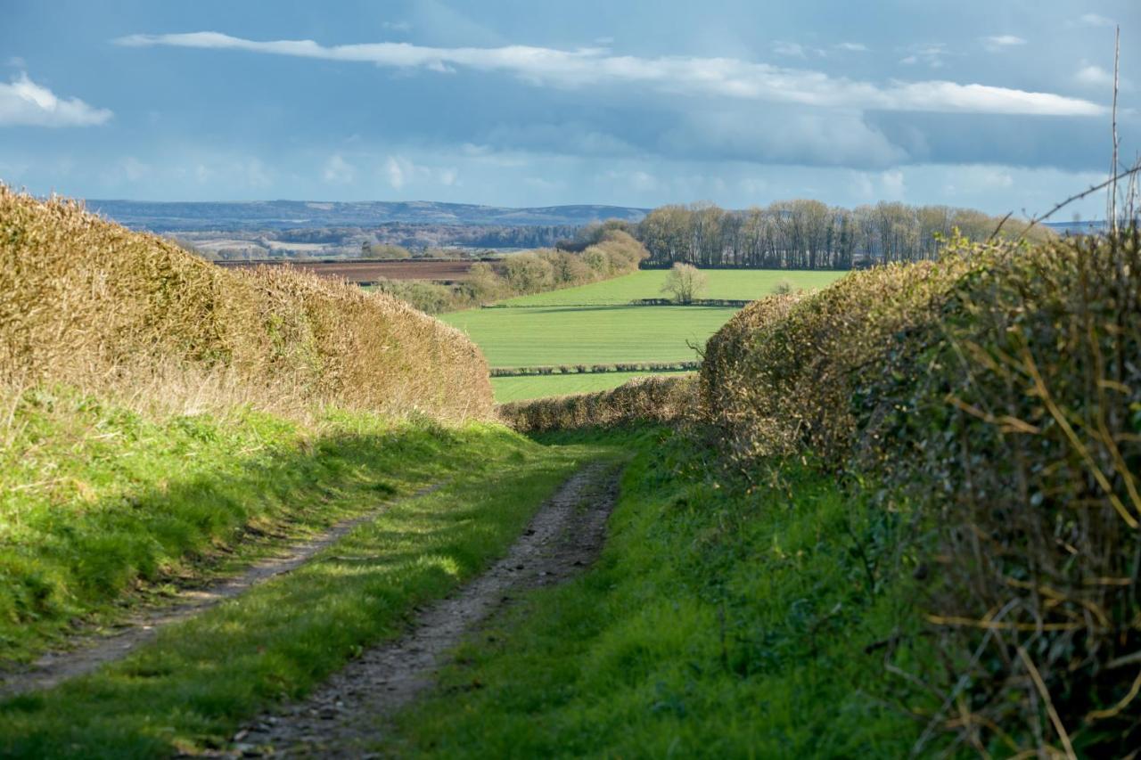 Milton Abbas Luccombe Farm Holiday Cottages מראה חיצוני תמונה