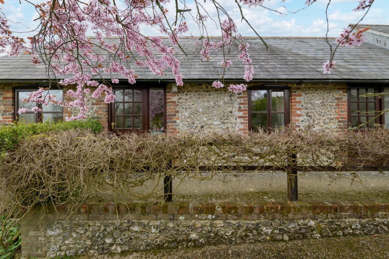 Milton Abbas Luccombe Farm Holiday Cottages מראה חיצוני תמונה