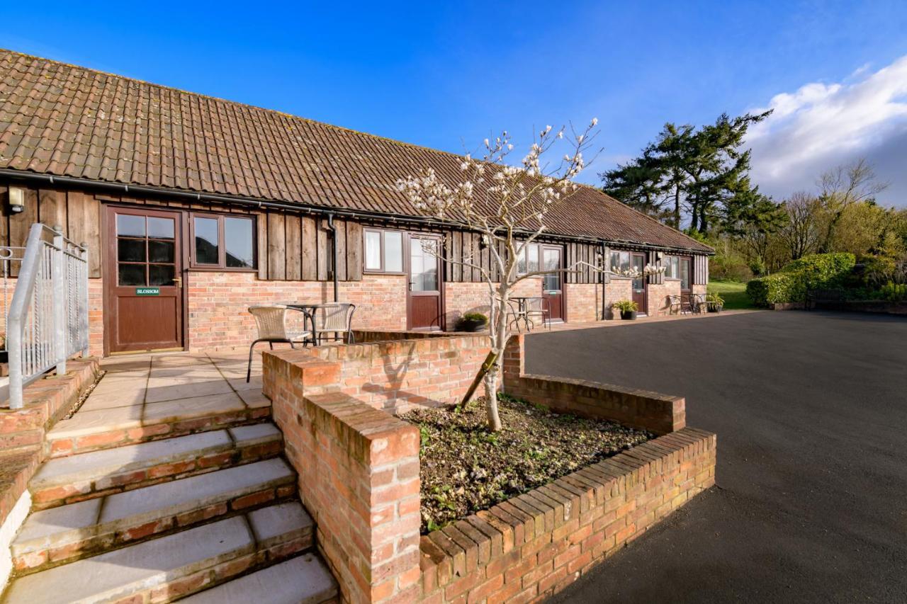 Milton Abbas Luccombe Farm Holiday Cottages מראה חיצוני תמונה